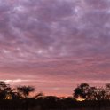 TZA MAR SerengetiNP 2016DEC25 Nguchiro 003 : 2016, 2016 - African Adventures, Africa, Date, December, Eastern, Mara, Month, Nguchiro Camp, Places, Serengeti National Park, Tanzania, Trips, Year